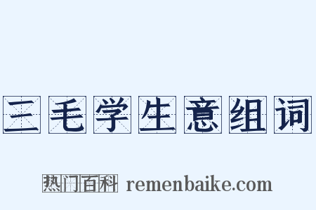 三毛学生意组词是什么意思的图片